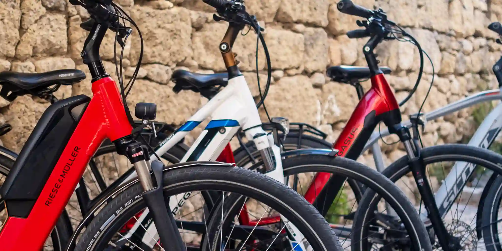 Rise&Müller e-Bike Cesme