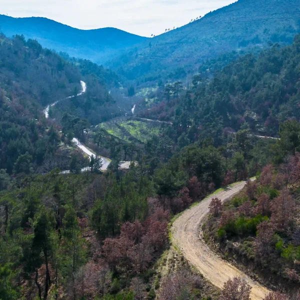 Efeler Yolu Bisiklet Rotası Turu