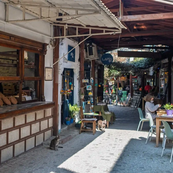 Urla City Bike Tour