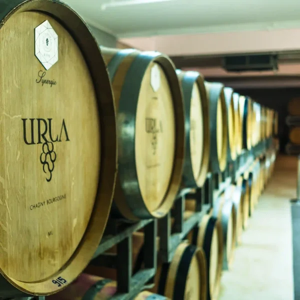 Urla Wine Tasting bike Tour