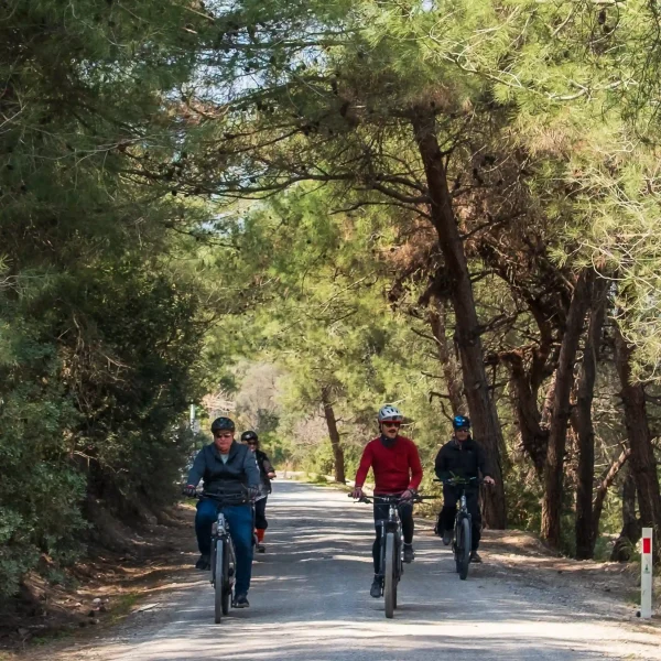 Urla e-bike Tour